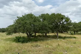 Lot 110 Kudu Ct, Lampasas, TX 76550 - Photo 4