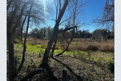 607 Old McDade Road, Elgin, TX 78621 - Photo 6