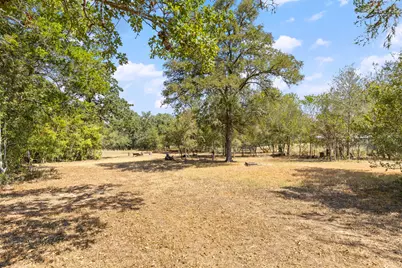 196 Willy Road, Bastrop, TX 78602 - Photo 28