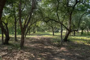 3692 Co Rd 207, Liberty Hill, TX 78642 - Photo 30