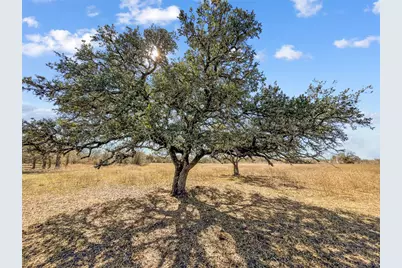 2494 County Road 118, Giddings, TX 78942 - Photo 6