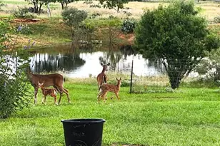 202 Rio Llano Dr W, Llano, TX 78643 - Photo 34