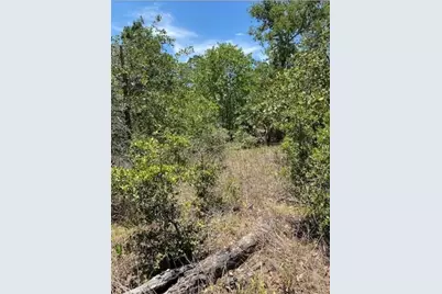 Lot 1123 Koali Drive, Bastrop, TX 78602 - Photo 2