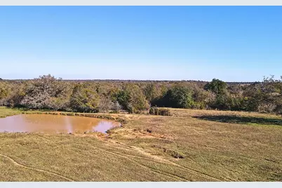 4834 Old Boone Prairie (107.53 Acres) Road, Franklin, TX 77856 - Photo 4