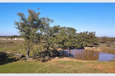 4834 Old Boone Prairie (107.53 Acres) Road, Franklin, TX 77856 - Photo 38