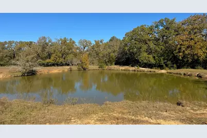 4834 Old Boone Prairie (107.53 Acres) Road, Franklin, TX 77856 - Photo 10