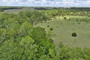 4220 Co Rd 202, Burnet, TX 78611 - Photo 10