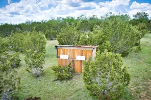 4220 Co Rd 202, Burnet, TX 78611 - Photo 26