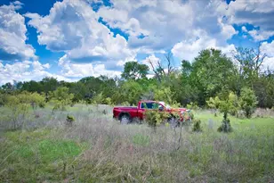 4220 Co Rd 202, Burnet, TX 78611 - Photo 12