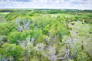 4220 Co Rd 202, Burnet, TX 78611 - Photo 8