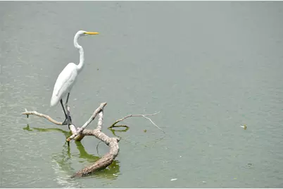 1209 Vance Street #10, Taylor, TX 76574 - Photo 20