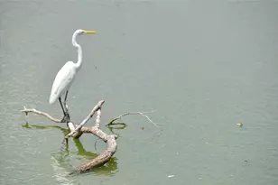 1209 Vance St, Taylor, TX 76574 - Photo 20