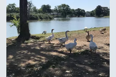1209 Vance Street #14, Taylor, TX 76574 - Photo 22