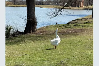1209 Vance Street #10, Taylor, TX 76574 - Photo 30