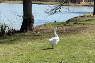 1209 Vance St, Taylor, TX 76574 - Photo 34