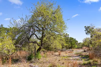 12136 Fitzhugh Place, Dripping Springs, TX 78620 - Photo 12