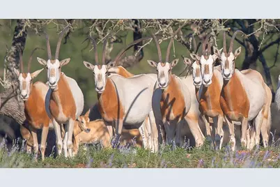 205 S Flat Rock Way, Johnson City, TX 78636 - Photo 4