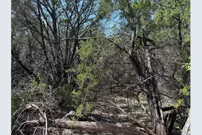 20000 Continental Cove, Lago Vista, TX 78645 - Photo 2