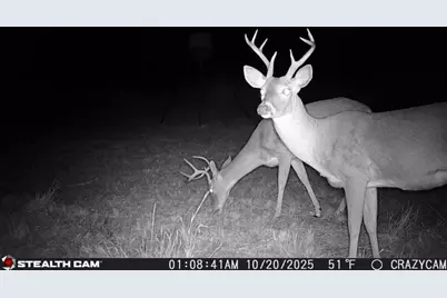 23651 Wolfridge Road, Killeen, TX 76549 - Photo 28