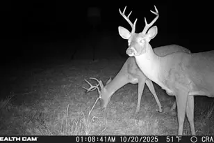 23651 Wolfridge Rd, Killeen, TX 76549 - Photo 28