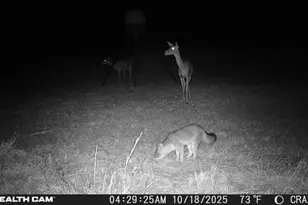 23651 Wolfridge Rd, Killeen, TX 76549 - Photo 26