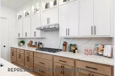 120 Red Camella Drive, Georgetown, TX 78628 - Photo 8