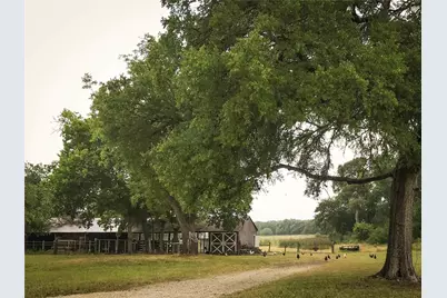 101 Hillview Trail, Dripping Springs, TX 78620 - Photo 14