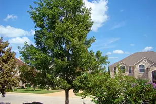 10700 Pointe View Dr, Austin, TX 78738 - Photo 2