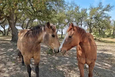 1655 N Walnut Springs Road, Johnson City, TX 78636 - Photo 26