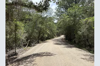 Lot 1228 & 1229 Hanauma Drive, Bastrop, TX 78602 - Photo 1