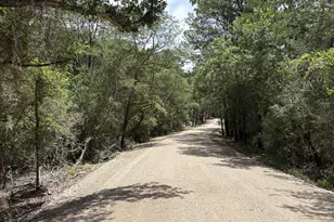 Lot 1228 1229 Hanauma Dr, Bastrop, TX 78602 - Photo 1