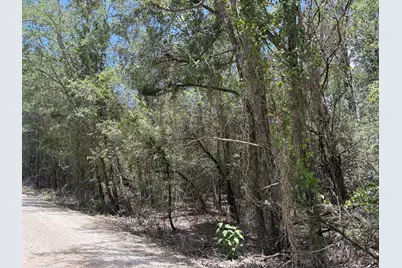 Lot 1228 & 1229 Hanauma Drive, Bastrop, TX 78602 - Photo 4