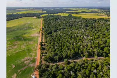 Tbd Stiewert Lane, Paige, TX 78659 - Photo 40