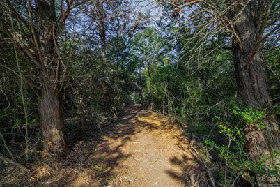 Tbd Stiewert Lane, Paige, TX 78659 - Photo 24