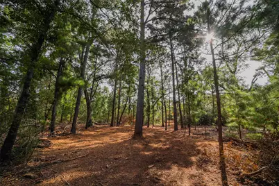 Tbd Stiewert Lane, Paige, TX 78659 - Photo 26