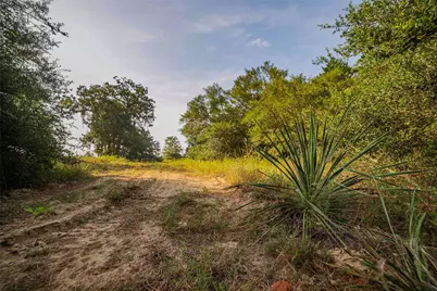 Tbd Stiewert Lane, Paige, TX 78659 - Photo 14