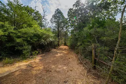 Tbd Stiewert Lane, Paige, TX 78659 - Photo 32