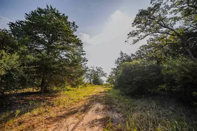 Tbd Stiewert Lane, Paige, TX 78659 - Photo 16