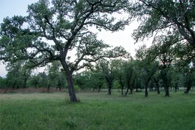 272 Slate Rock Road, Willow City, TX 78675 - Photo 8