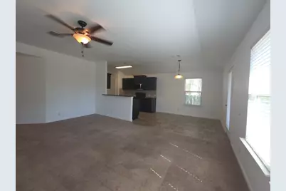 313 San Antonio Riverwalk, Hutto, TX 78634 - Photo 4