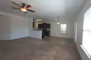 313 San Antonio Riverwalk, Hutto, TX 78634 - Photo 4