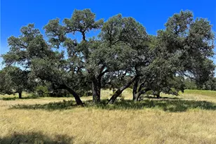 Lot 231 Winecup Dr, Lampasas, TX 76550 - Photo 4