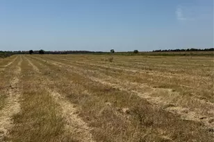 1875 Co Rd 273, Cameron, TX 76520 - Photo 2