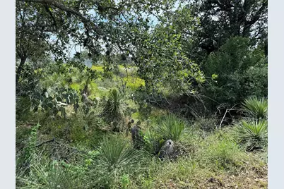 Pid 17064 Sweetbriar Drive, Granite Shoals, TX 78654 - Photo 2