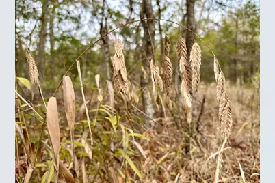 104 E Waiehu Lane, Bastrop, TX 78602 - Photo 16