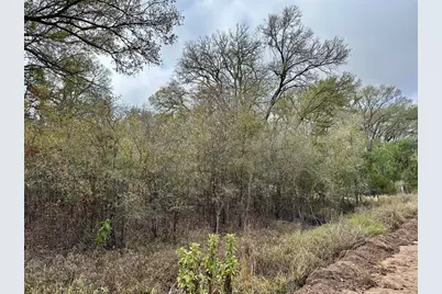 104 E Waiehu Lane, Bastrop, TX 78602 - Photo 4