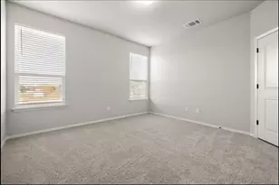 353 Spiny Lizard Ln, San Marcos, TX 78666 - Photo 12