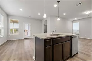 353 Spiny Lizard Ln, San Marcos, TX 78666 - Photo 8