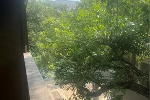 612 Park Pl Pl, Austin, TX 78705 - Photo 24