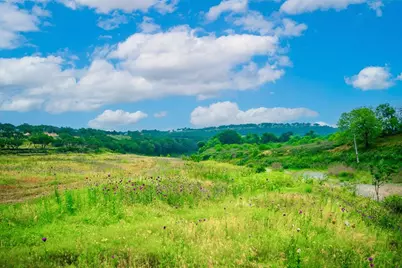 1761 Paradise Parkway, Canyon Lake, TX 78133 - Photo 24